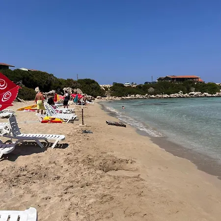 Merkezde Havuzlu